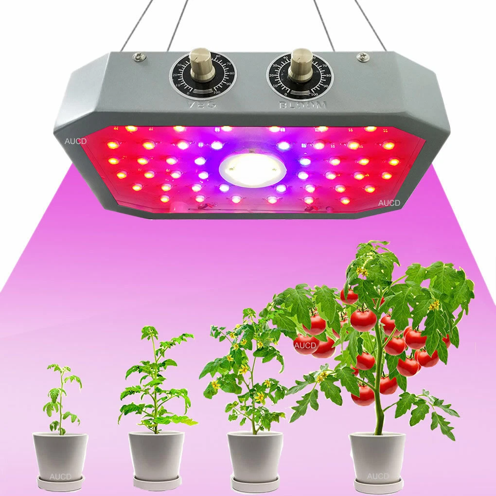 Cob grow on sale