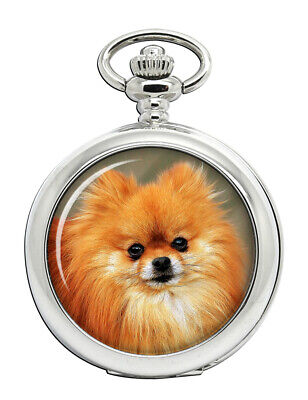 Pomeranian Dog Zwergspitz Key Ring