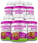 6 x Forskolin Maximum Strength 100% Pure 3400mg Rapid Results! Forskolin Extract