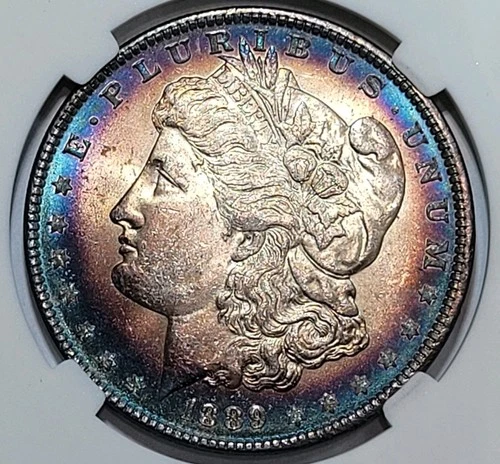 1889-P Morgan Silver Dollar MS NATURAL ORG MONSTER RIM TONING. Beautiful Coin!