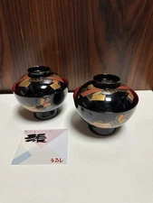 Echizen Lacquerware Bowl Set Of 2
