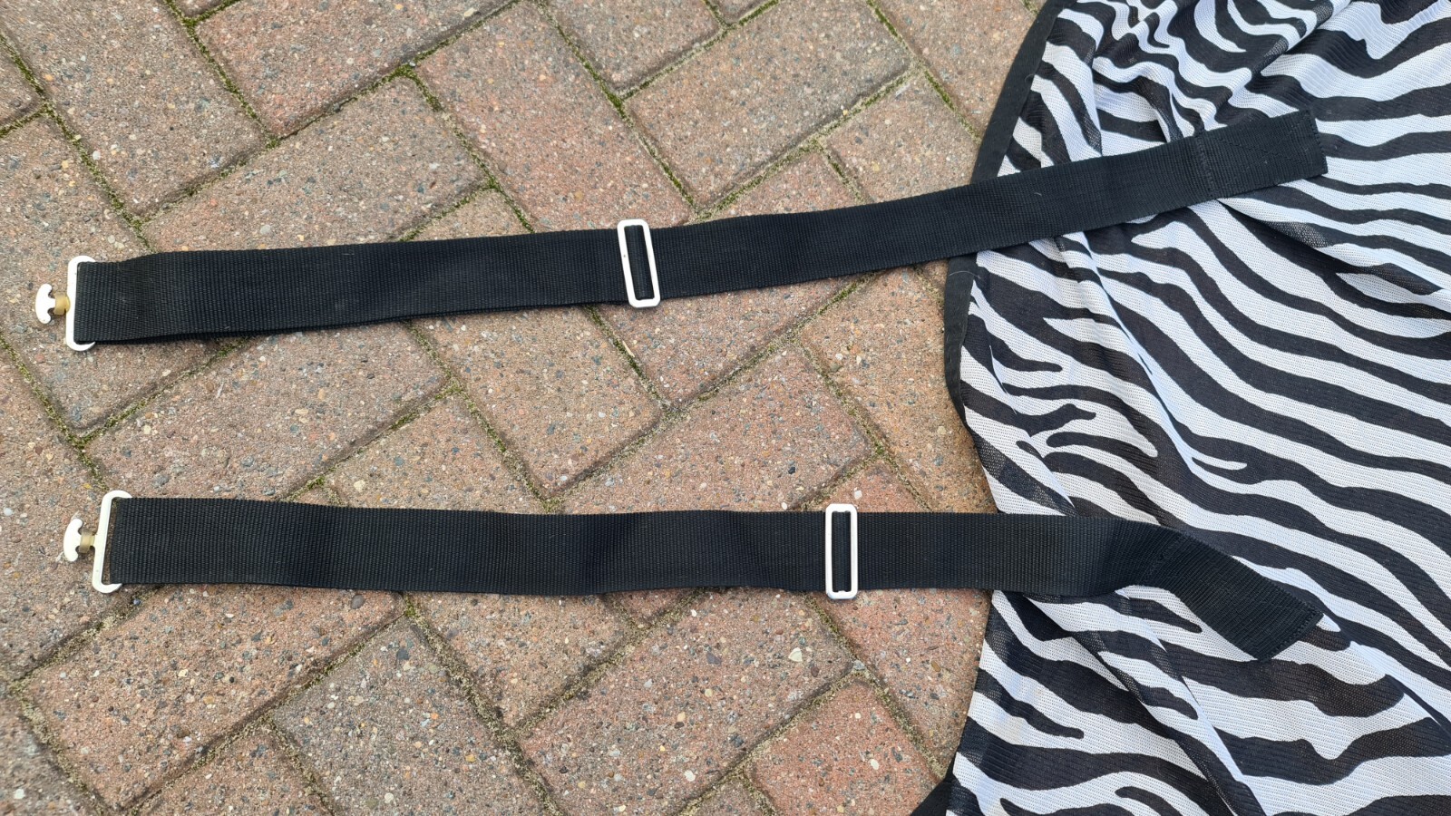 6ft StormX Original Zebra Print Horse Fly Rug eBay