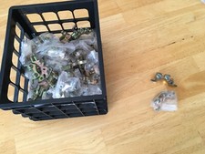 DUAL CABLE FEMALE F-CONNECTOR 49 COUNT