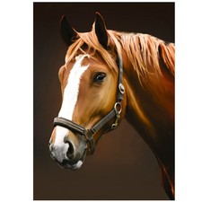 Horse Diamond Art Kits for Adults, Full Drill Diamond Art Horse DIY 5d Anima