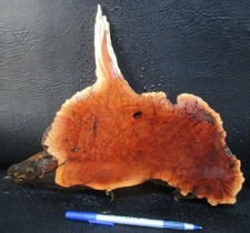 Manzanita Burl Natural Edge Slab Crafts #D269  12 3/4" x 5 1/2" x 7/8"