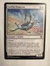 Griffin Protector - Dominaria United: #018/281 Magic: The Gathering NM