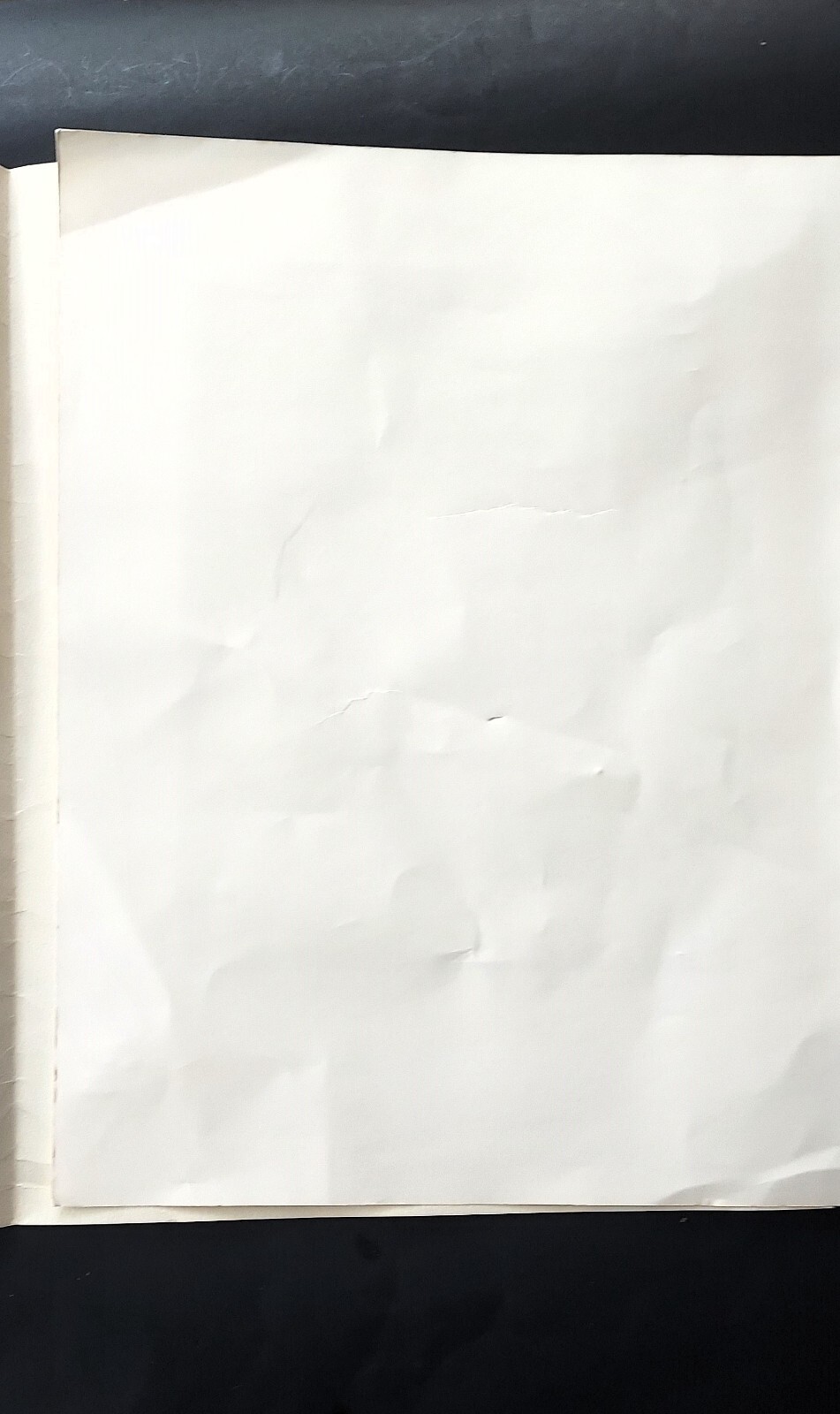 Picture 4 of 11
