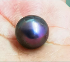 Huge 12-13mm natural south sea genuine Black redish round loose pearl undrilled