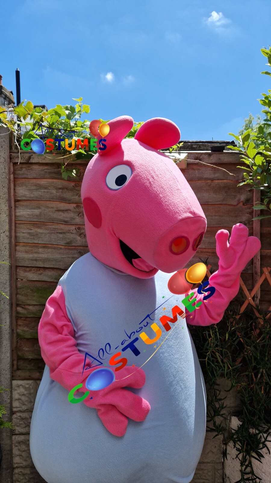 Hire Pig Boy Lookalike Costume Mascot Fancy Dress Delivery