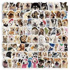 50Pcs Random Cool Funny Cats Meme And Dogs Waterproof Vinyl Decals Stickers