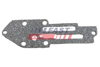 Dichtring ÖLküHler (Schmierung) Fast FT49916 FüR Ford Transit Bus Tdci 4X4 RWD