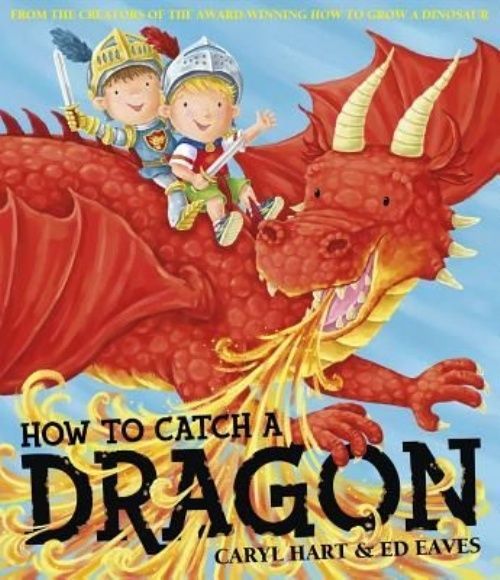 How To Catch a Dragon by Caryl Hart (Paperback, 2014)