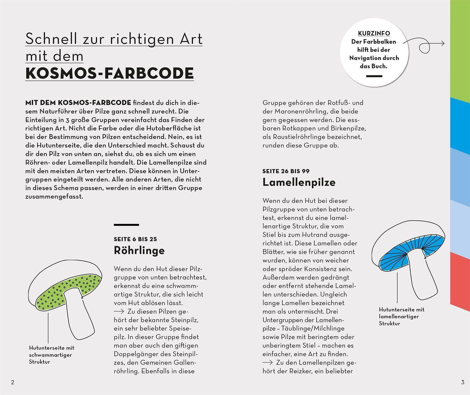 Thumbnail - Basic Pilze | Markus Flück | Taschenbuch | Kosmos-naturführer Basics |