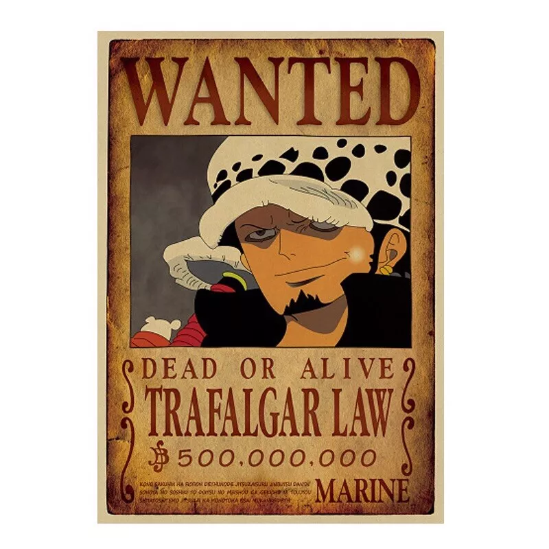 One Piece Wanted Poster