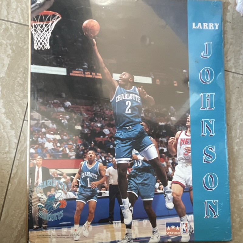 Larry Johnson Charlotte Hornets Vintage Basketball Poster