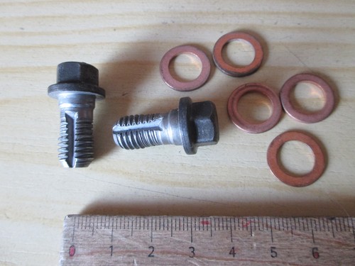 2x Schrauben M10 VW Golf  6 7Audi  A3 V8 Seat Skoda M10 ATE  Bremssattel vorne