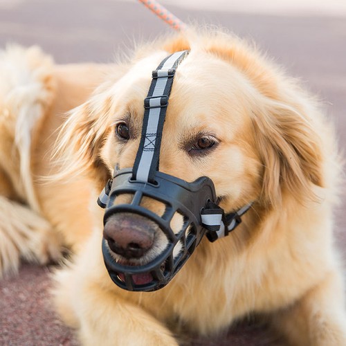 Dog Muzzles Breathable Antieating Dog Muzzle Stop Biting Barking eBay