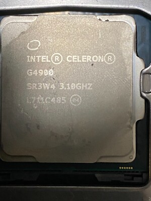 Intel Celeron G4900 Processor (3.10GHz, 2 Core, LGA 1151) - SR3W4