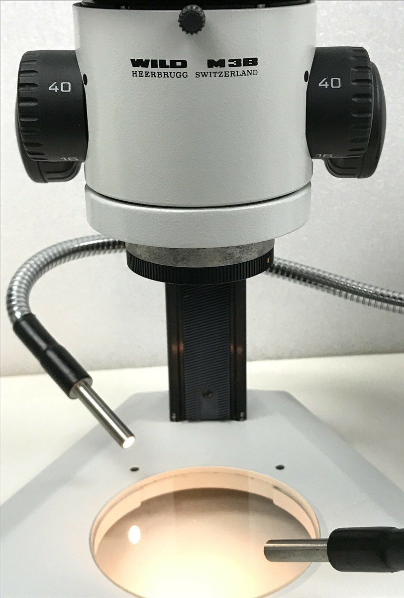 Wild M3B Stereo Microscope w/ DynaLite 150 Fiber Optic Light Source 4-mo  Wrnty