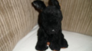 pepper ty beanie baby dog