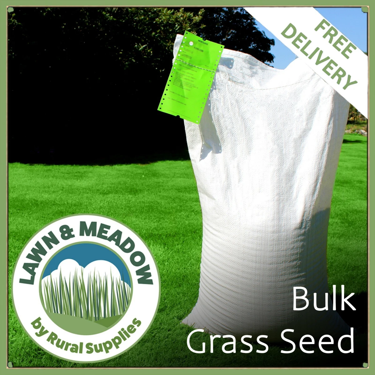 Cheap outlet grass seed