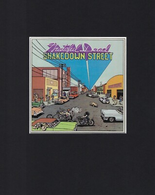 8X10'' Matted Print Picture Cover Record Art: Grateful Dead, Shakedown Street