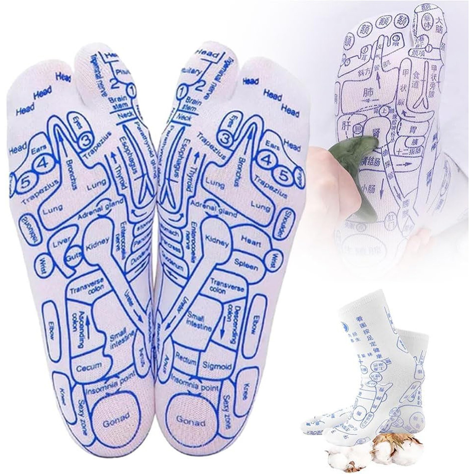 Socks Chinese Heritage Acupoint Socks With Foot Massage Set Clear Position-image