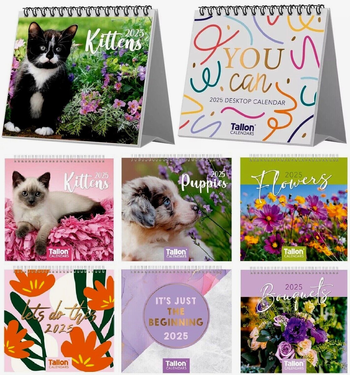 ミュージシャン WANDS / DESKTOP CALENDAR 2023 ミュージシャン WANDS / DESKTOP CALENDAR 2023 2023-2024