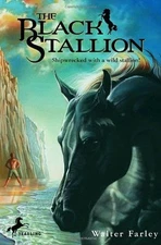 Complete Set Series - Lot of 20 Black Stallion books by Steven & Walter Farley