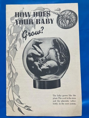 #ad Vintage 1942 HOW DOES YOUR BABY GROW? Conception Labor Birth Abortion GERBER $49.00