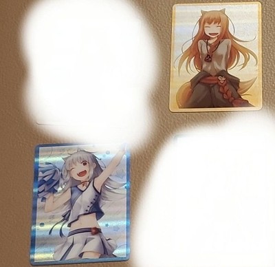 Spice and Wolf Holo 30th Anniversary Dengeki Bunko Hologram Photo
