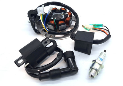 Passend für Quadzilla Cobra Apache 100cc Quad Elektro Kit CDI Coil Plug & Stator,