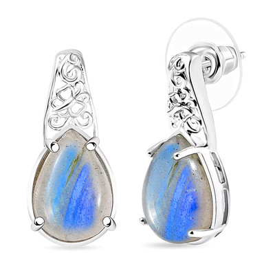 Ohrringe in Platin Bond Karis madagassischer Labradorit 1,25 ctw neu tolles Geschenk
