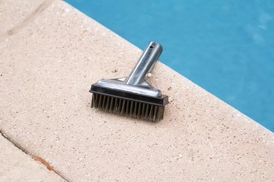 20178 Aluminum-Back Swimming Pool & Algae Brush with 5-Inch Steel Brush56