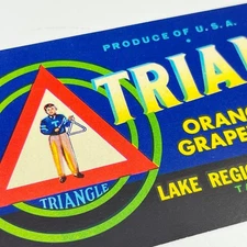 TRIANGLE Fruit Crate Label Citrus Lake Region Packing Tavares Florida FL3