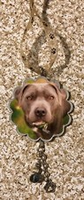 Handmade Recycled Christmas Ornament Hanger Canine Dog Breeds - PIT BULL
