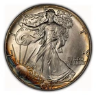 1987 1 oz Silver American Eagle - Rainbow Rim Toning - UNC - SKU-E2902