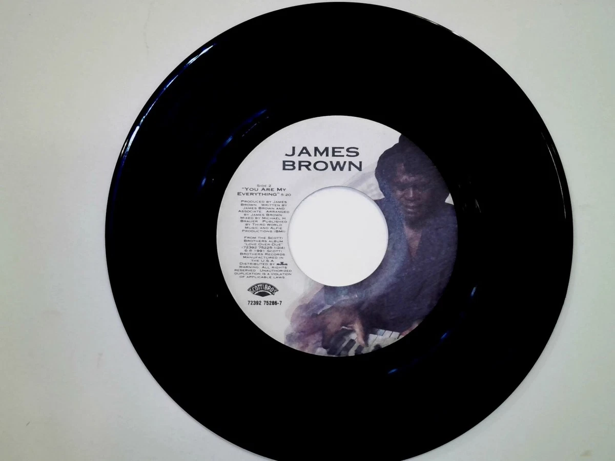 限定盤　HONEY DRIPPERS / JAMES BROWN 7インチ James Brown 7
