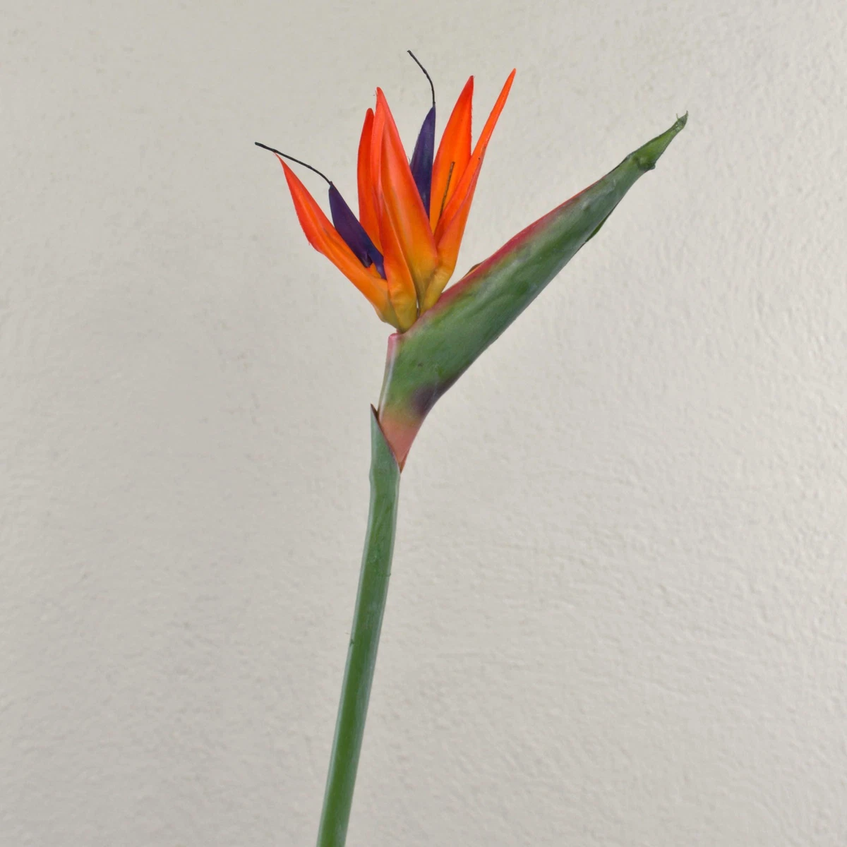 plant een olijfboom Kunst Olijfboom 150cm | Gratis Levering
