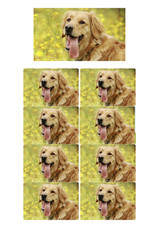 Pet Stickers Dog Cat Photos Create Your Own Stickers Wall Bedroom Fridge Sticker