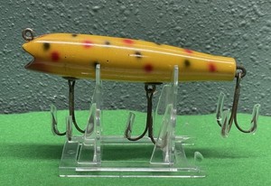 Creek chub Darter | eBay