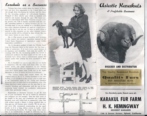 Karakul Fur Farm Brochure, HK Hemingway, Upland, California 1940, Breeder
