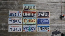 10 License Plates from different states Mixed lot of license plates bulk sale!!!