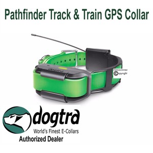 dogtra tracking collars