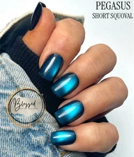 Red Aspen Press On Nails-Pegasus-Acrylic- Blue Cat Eye-Short- Squoval- Sold Out
