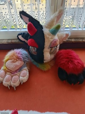 Furry Angel  Dragon Partial fursuit