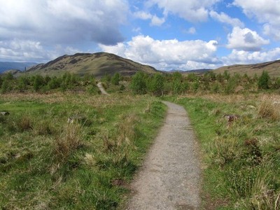 Foto A2 West Highland Way in Garadh Ban Wood Milton von Buchanan The tra c2014