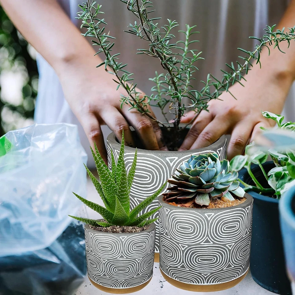 Juego de 3 - Macetas de cemento con orificios de drenaje Foto 4 de 4