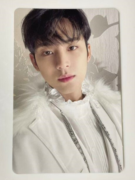 セブチ power of love CGV 特典 ミンギュ 2025年最新】seventeen 映画