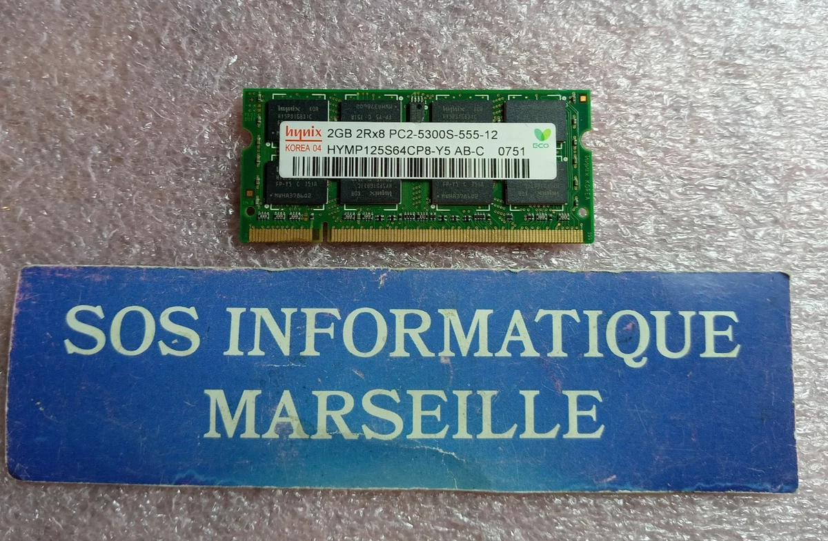 Kit 2 Barrettes Mémoire DDR2 Crucial/Elpida 2GB PC2-5300U - 4Go Total, Occasion Fonctionnel - Pour Mise à Niveau PC Ancien